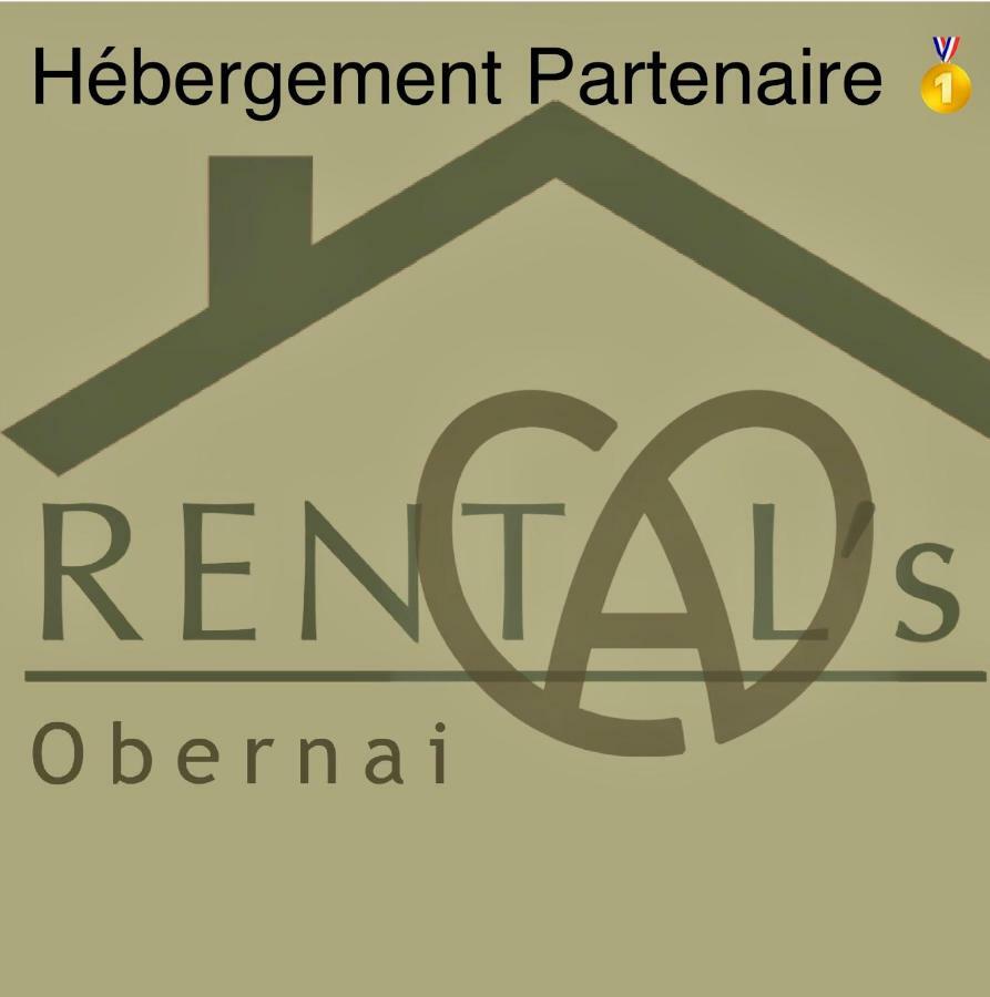 Le Relais D Obernaiアパートメント エクステリア 写真